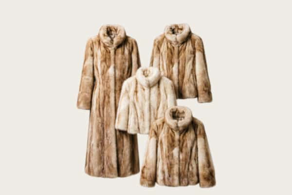 东至县回收皮草衣服